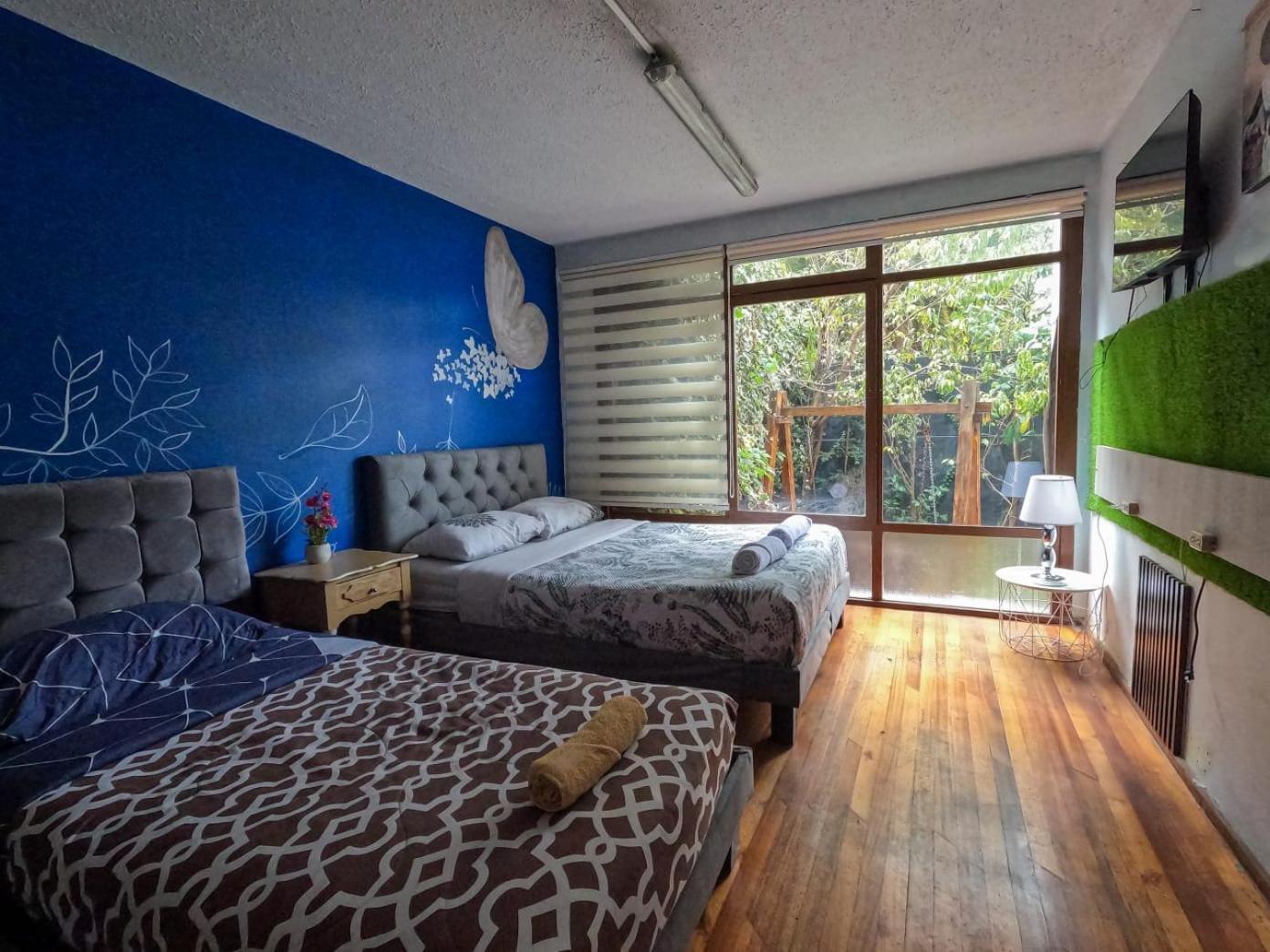 Blue House La Floresta กีโต ภายนอก รูปภาพ