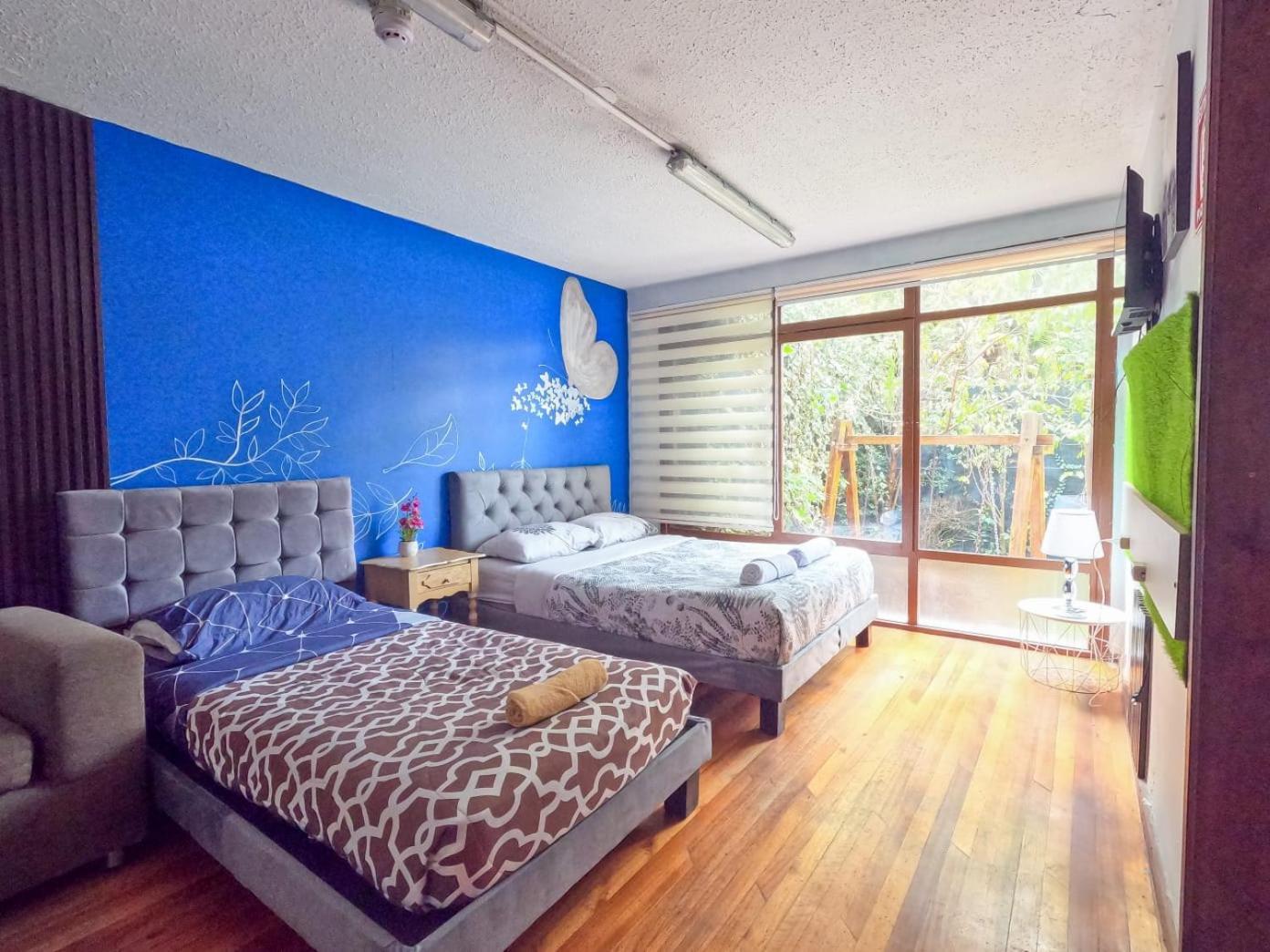 Blue House La Floresta กีโต ภายนอก รูปภาพ